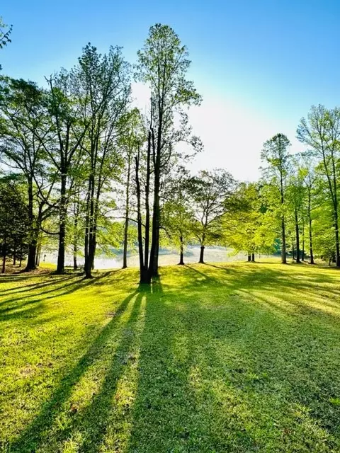 178 Pine Lake Dr, Easley, SC 29642 photo 21