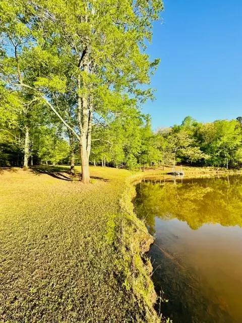 178 Pine Lake Dr, Easley, SC 29642 photo 24