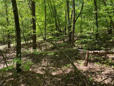 111 Bearpaw Trl, Sunset, SC 29685 photo 3
