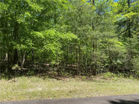 111 Bearpaw Trl, Sunset, SC 29685 photo 9