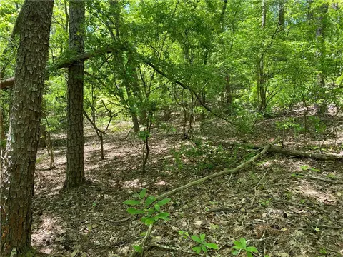 111 Bearpaw Trl, Sunset, SC 29685 photo 8
