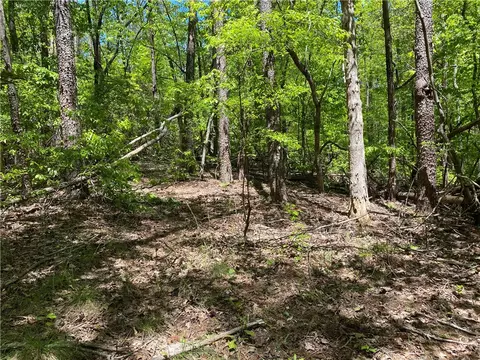 111 Bearpaw Trl, Sunset, SC 29685 photo 6