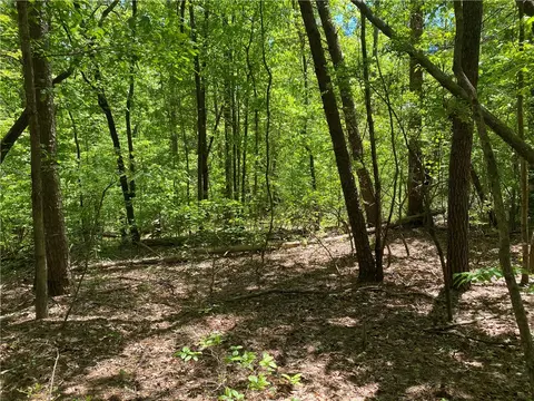 111 Bearpaw Trl, Sunset, SC 29685 photo 5