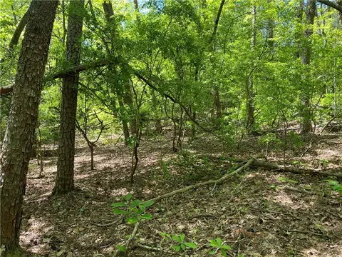 111 Bearpaw Trl, Sunset, SC 29685 photo 7