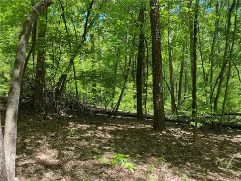 111 Bearpaw Trl, Sunset, SC 29685 photo 4