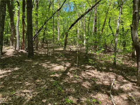 111 Bearpaw Trl, Sunset, SC 29685