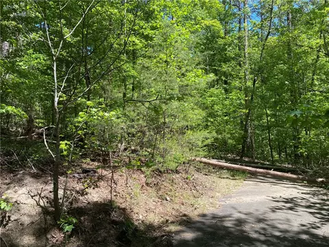 111 Bearpaw Trl, Sunset, SC 29685 photo 11