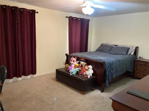 109 Shadowood Dr, Clemson, SC 29631 photo 17