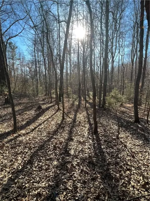 00 Lockaby Rd # -B, Pendleton, SC 29670 photo 9