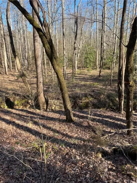 00 Lockaby Rd # -B, Pendleton, SC 29670 photo 3