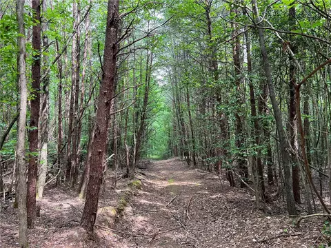 290 Forksville Rd, Honea Path, SC 29654 photo 35