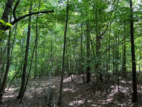290 Forksville Rd, Honea Path, SC 29654 photo 16