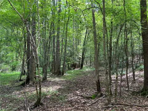 290 Forksville Rd, Honea Path, SC 29654 photo 33