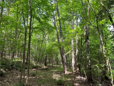290 Forksville Rd, Honea Path, SC 29654 photo 34