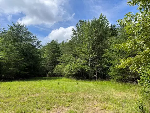 290 Forksville Rd, Honea Path, SC 29654 photo 18