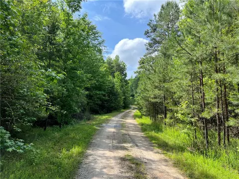 290 Forksville Rd, Honea Path, SC 29654 photo 6