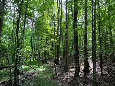 290 Forksville Rd, Honea Path, SC 29654 photo 15