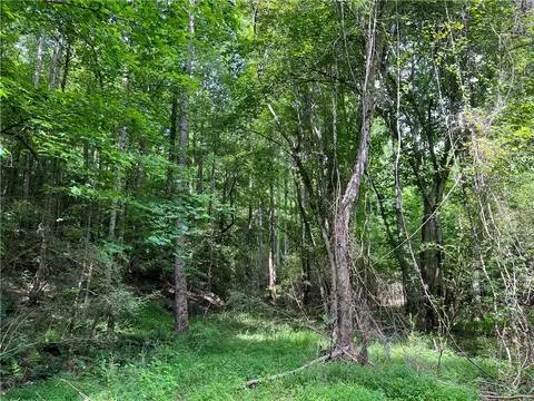 290 Forksville Rd, Honea Path, SC 29654 photo 25