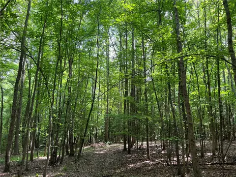 290 Forksville Rd, Honea Path, SC 29654 photo 37