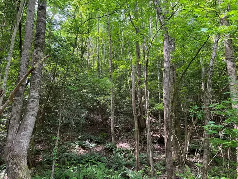 290 Forksville Rd, Honea Path, SC 29654 photo 26