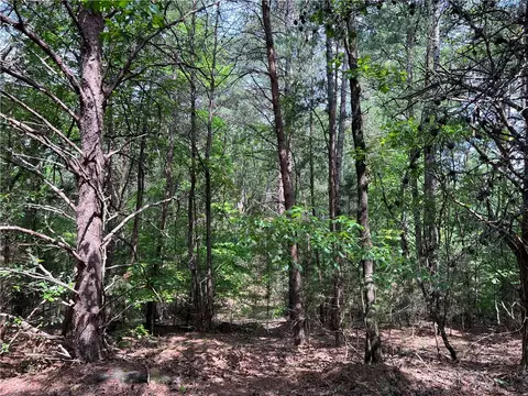 290 Forksville Rd, Honea Path, SC 29654 photo 22