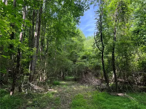 290 Forksville Rd, Honea Path, SC 29654 photo 24