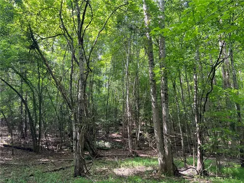 290 Forksville Rd, Honea Path, SC 29654 photo 23