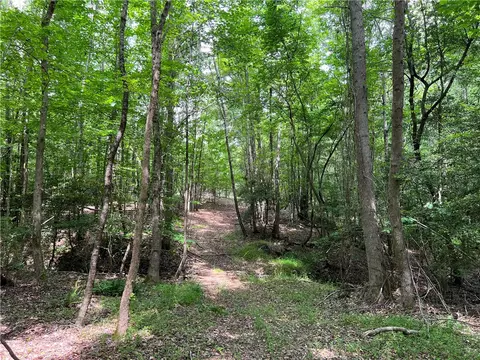 290 Forksville Rd, Honea Path, SC 29654 photo 38