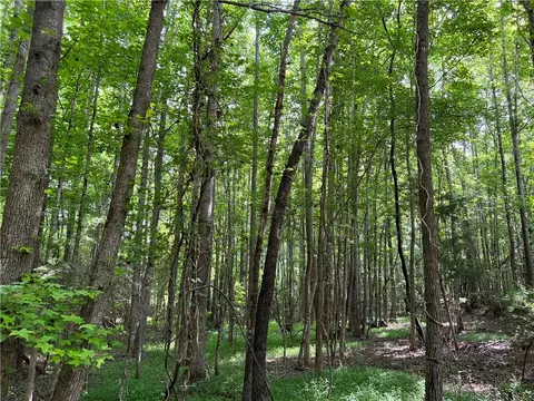 290 Forksville Rd, Honea Path, SC 29654 photo 12