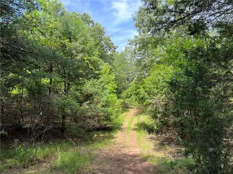 290 Forksville Rd, Honea Path, SC 29654 photo 20