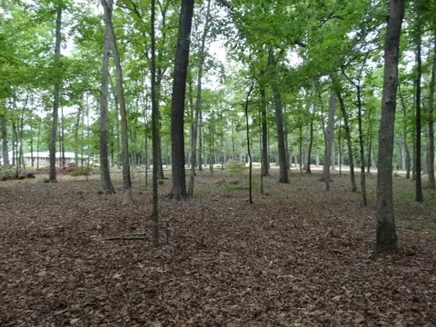 00 Weaver Rd, Pendleton, SC 29670 photo 13