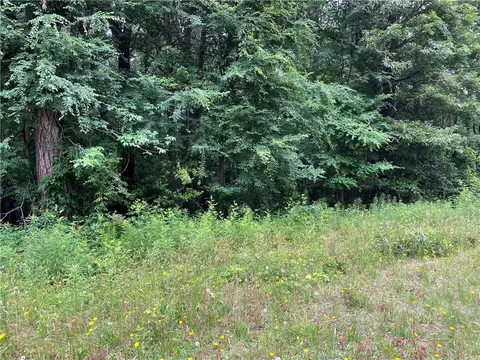 0 Partridge Dr, Williamston, SC 29697 photo 8