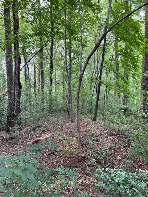 0 Partridge Dr, Williamston, SC 29697 photo 9