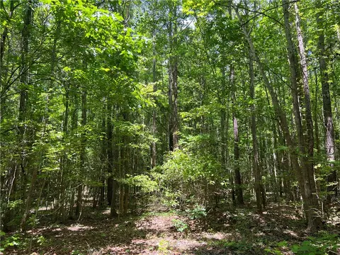 00 Sc 39 Hwy, Chappells, SC 29037