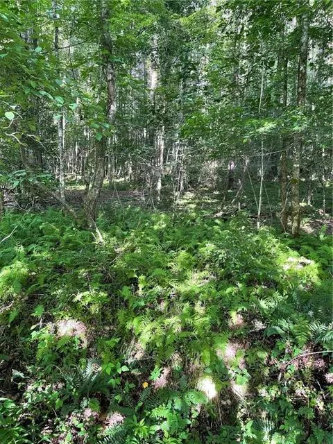 002 Dalton Rd, Marietta, SC 29661