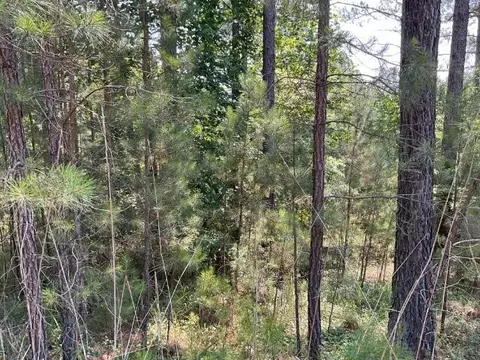 447 Spring Cove Way, Six Mile, SC 29682