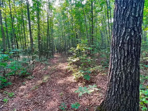2 Howe Rd, Central, SC 29630 photo 15