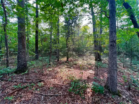 3 Howe Rd, Central, SC 29630 photo 10