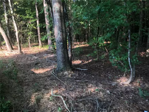 00 Luke Bouknight Rd, Starr, SC 29684 photo 3