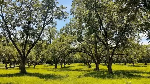 6092 Old Calhoun Falls Rd, Calhoun Falls, SC 29628