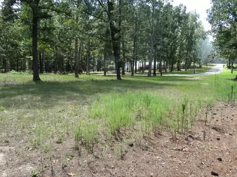 01 Weaver Rd, Pendleton, SC 29670 photo 12