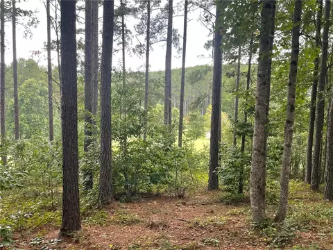116 Long Ridge Rd, Sunset, SC 29685 photo 4