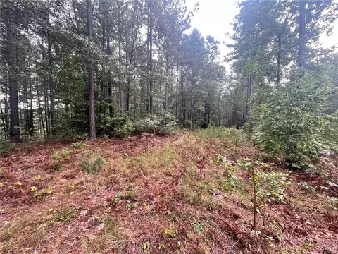 116 Long Ridge Rd, Sunset, SC 29685 photo 8