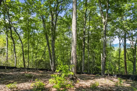 110 Cliffside Trl, Pickens, SC 29671 photo 3