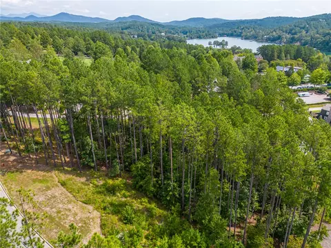 236 S Lake Dr, Sunset, SC 29685 photo 2