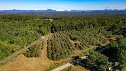 000 Cassidy Bridge Rd, Mountain Rest, SC 29664
