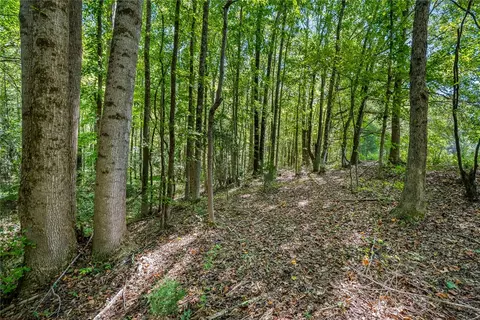 3802 Shady Grove Rd, Honea Path, SC 29654 photo 10