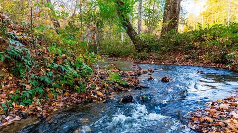 148 Smokey Haze Rd, Pickens, SC 29671