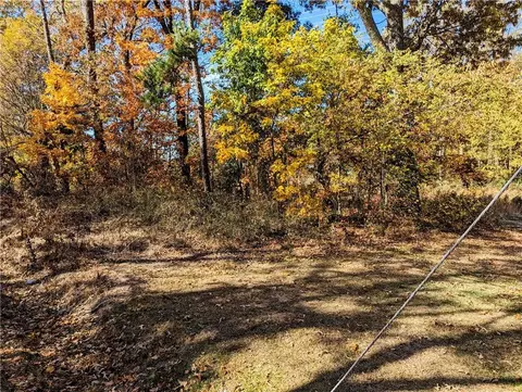 Lily Street, Greenville, SC 29617