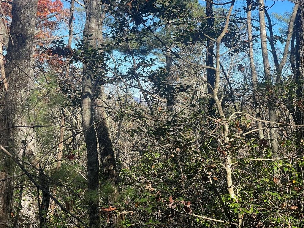 00 Snider Cemetary Rd  